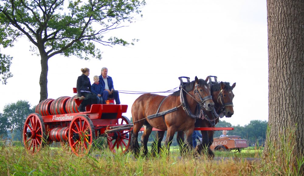 bierwagen paard en wagen